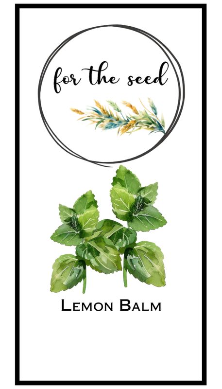 Lemon Balm