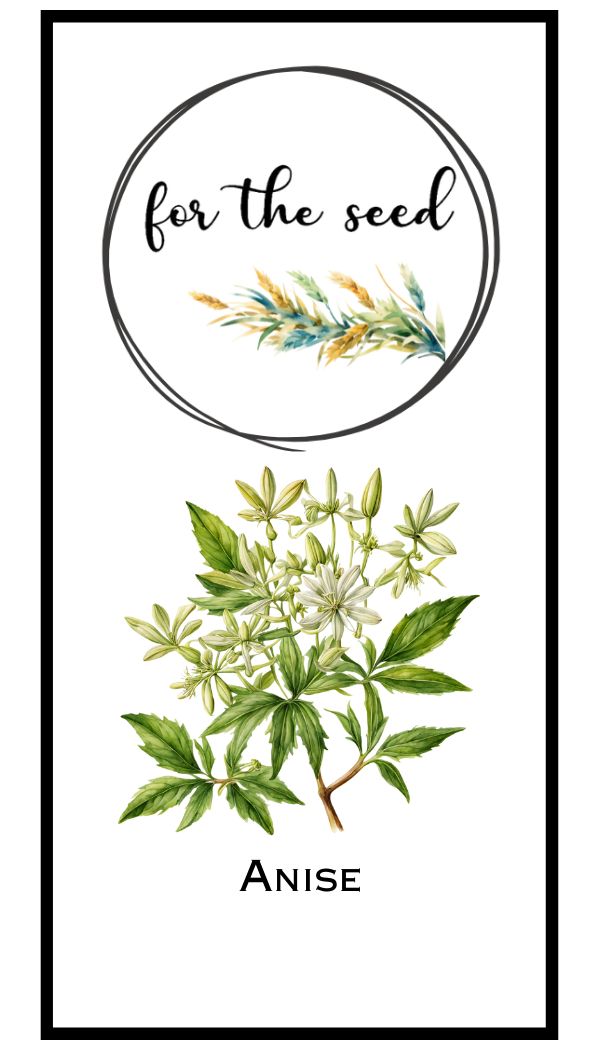 Anise
