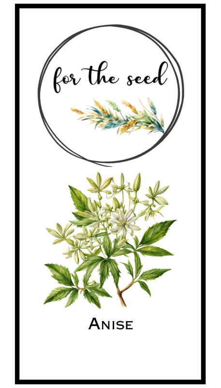 Anise