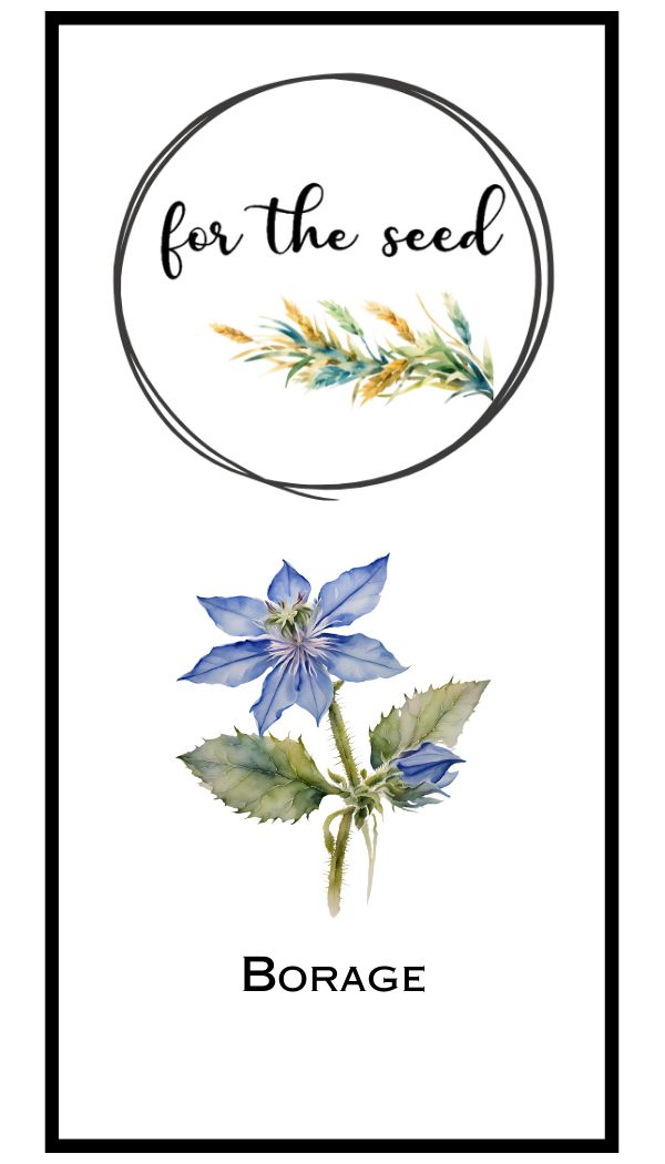 Borage