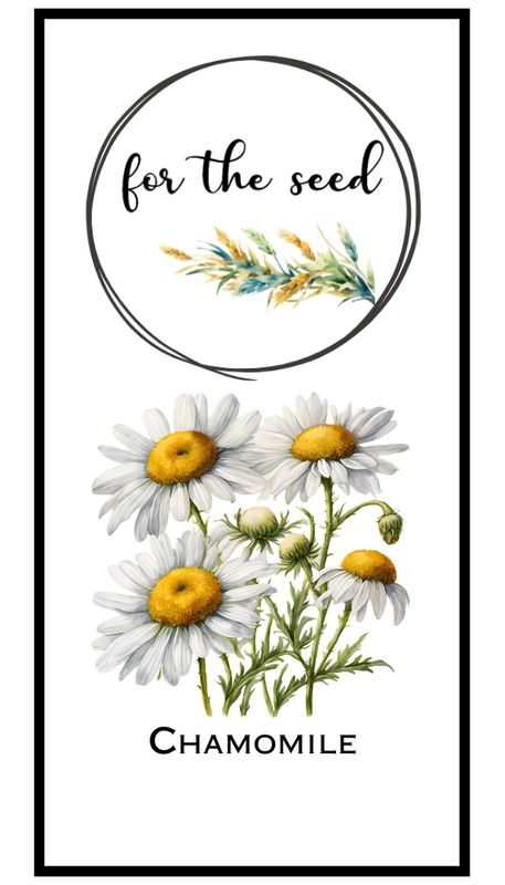 Chamomile