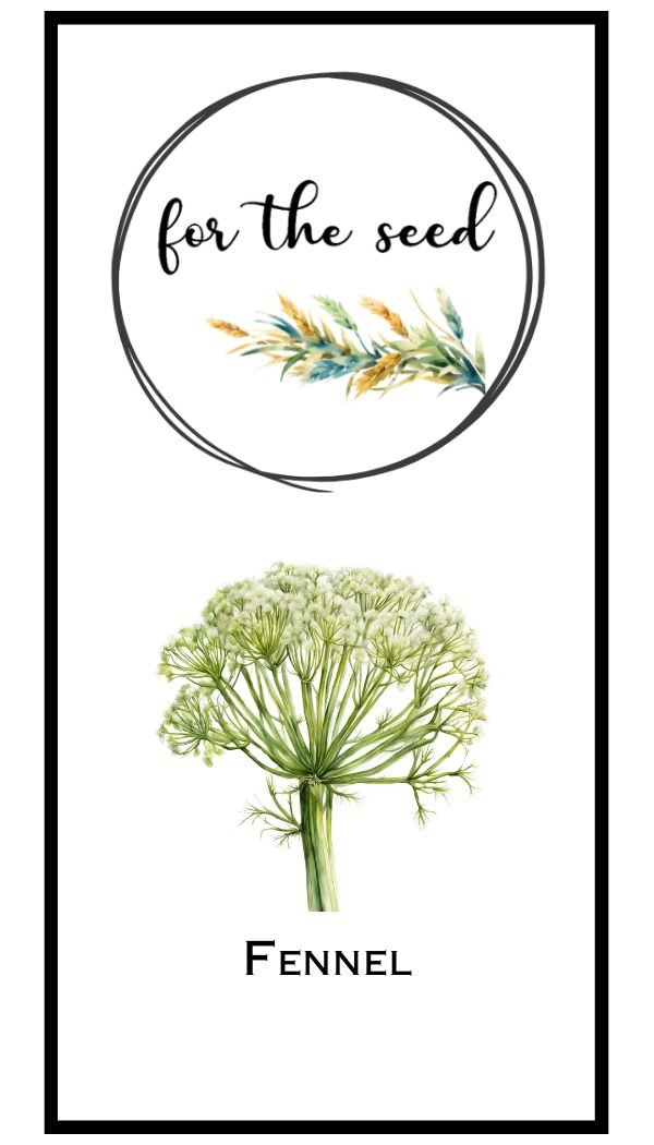 Florence Fennel