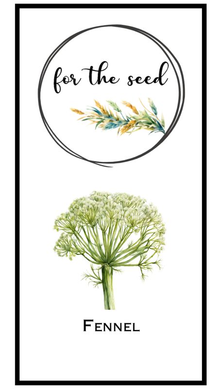 Florence Fennel