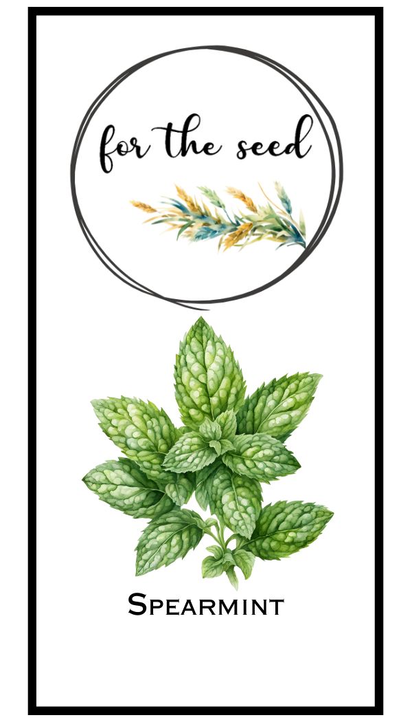 Spearmint