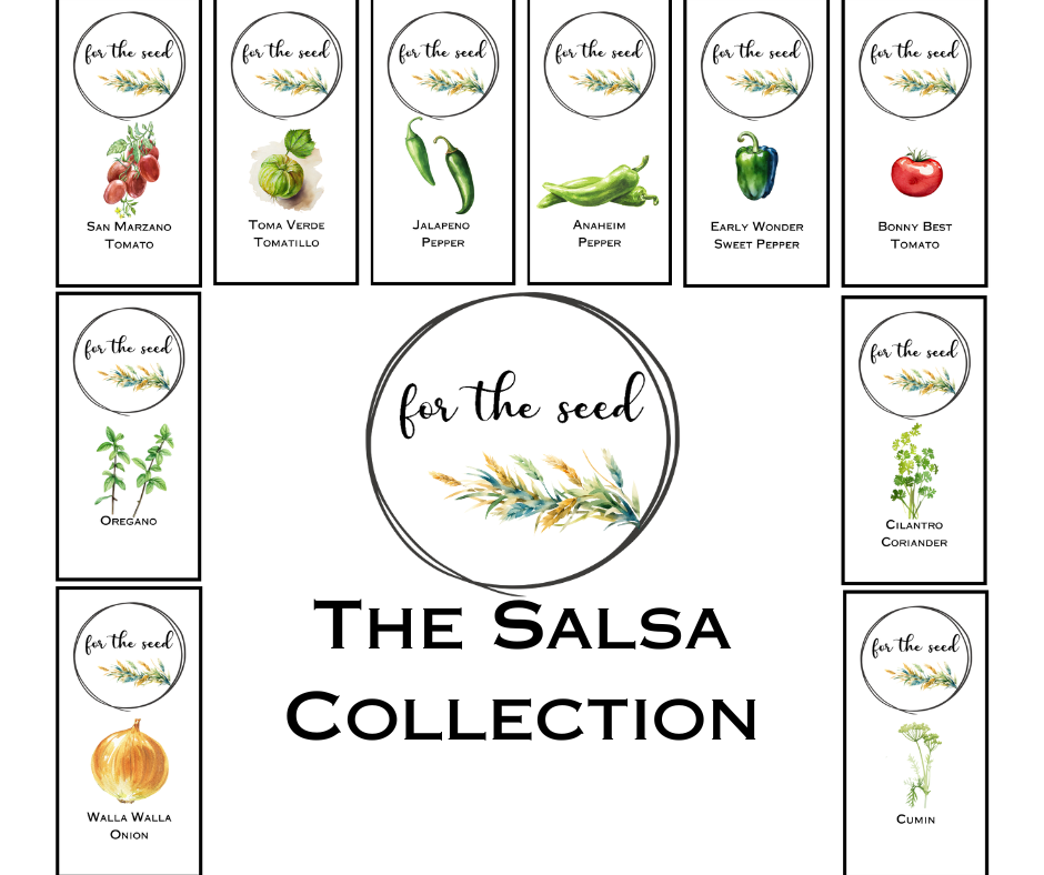 The Salsa Collection