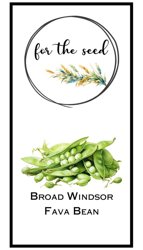 Broad Windsor Fava Beans - Community Pack - 1 lb