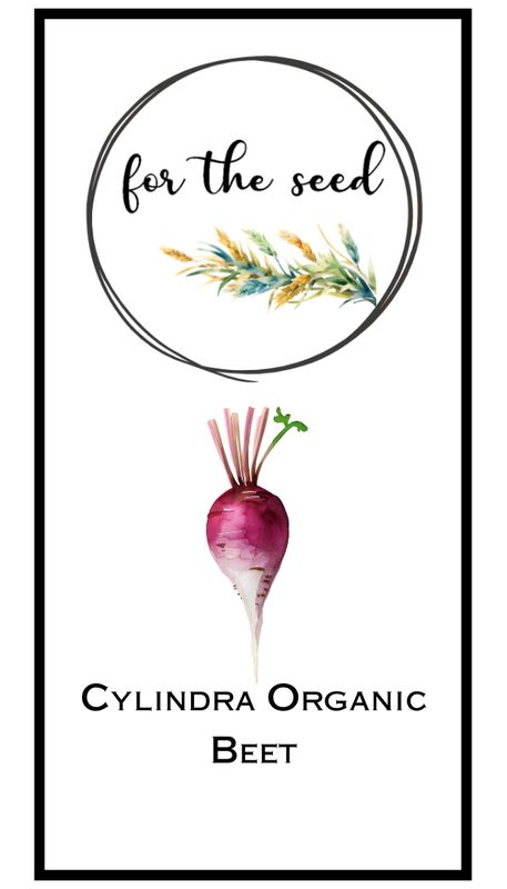 Cylindra Organic Beets - Community Pack