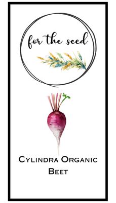 Cylindra Organic Beets - Community Pack