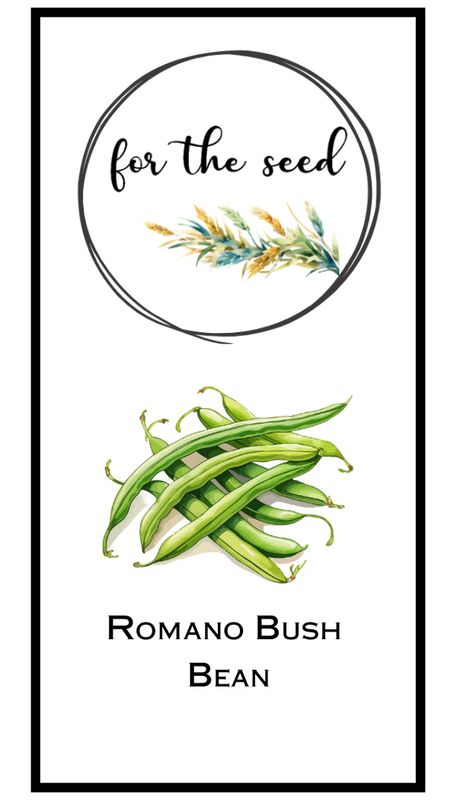 Romano Bush Beans - Community Pack - 1 lb