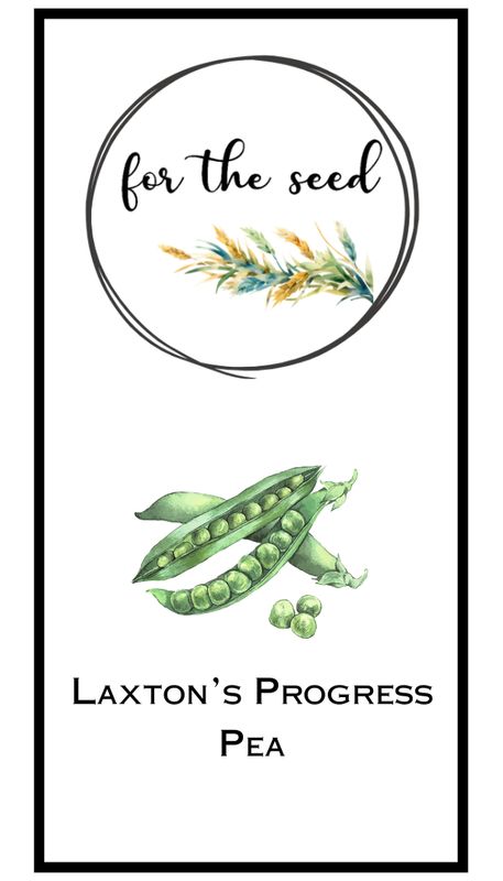 Laxton&#39;s Progress Peas - Community Pack - 1 lb