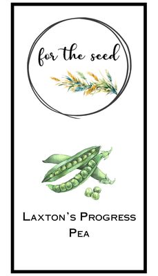 Laxton&#39;s Progress Peas - Community Pack - 1 lb