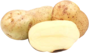 Sieglinde Heritage Organic Seed Potato