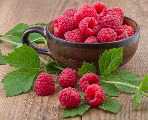 Boyne Raspberry Bare Root 10 Pack