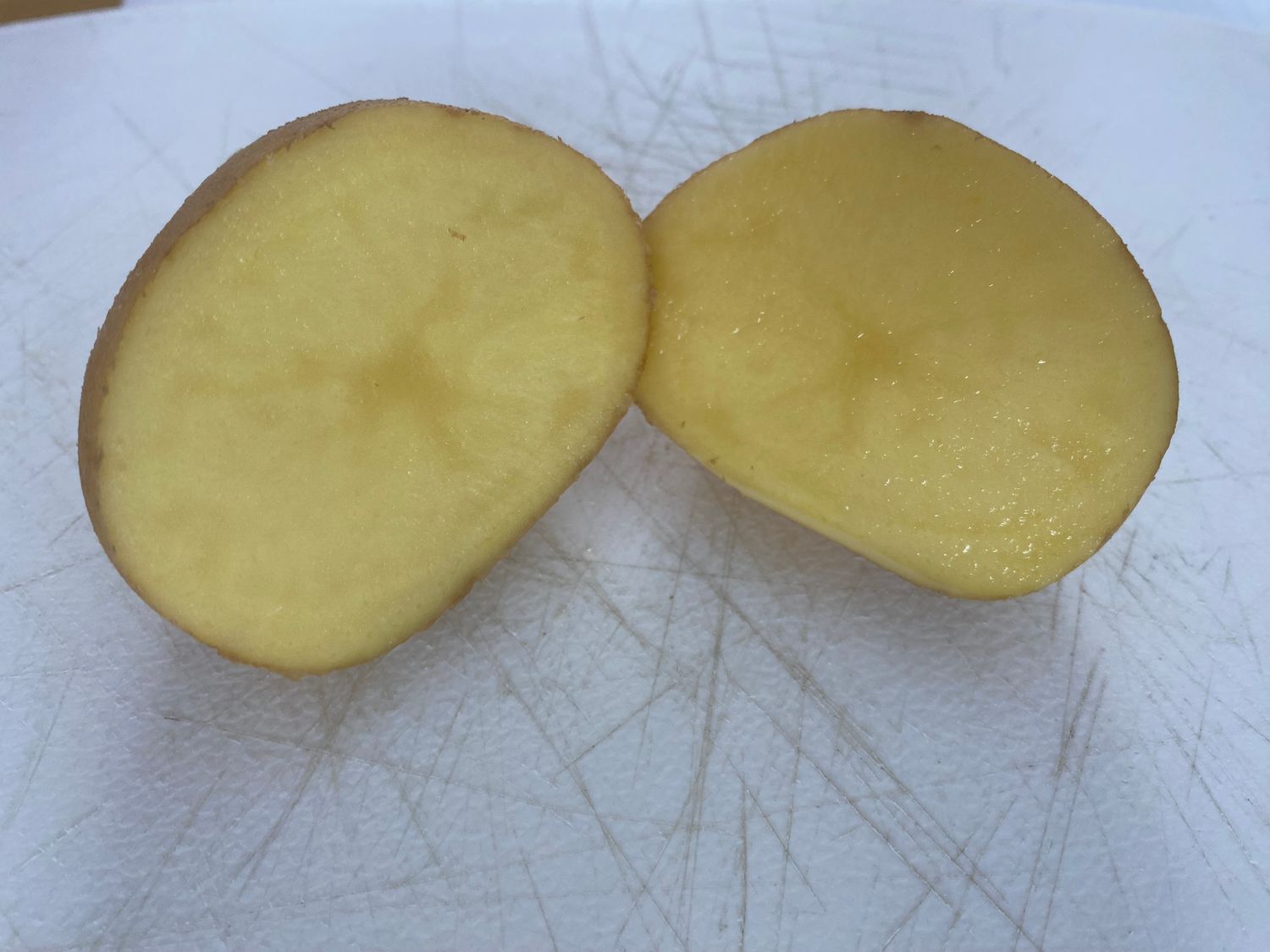 Organic Yellow Seed Potatoes