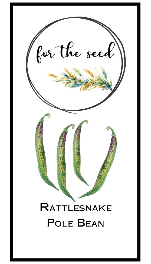 Rattlesnake Pole Beans