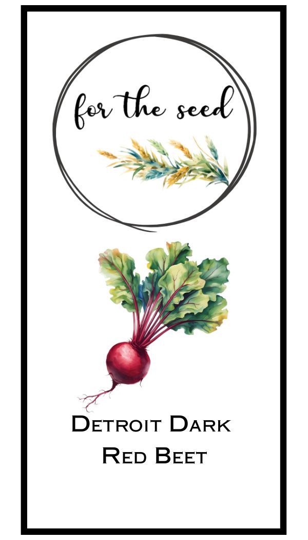 Detroit Dark Red Beet - Bulk Pack