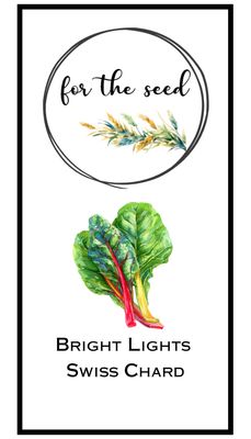 Bright Lights Swiss Chard