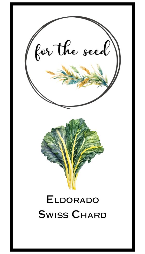 Eldorado Swiss Chard
