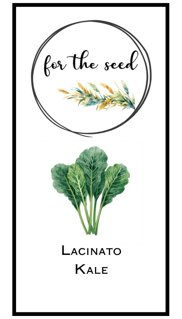 Lacinato Kale