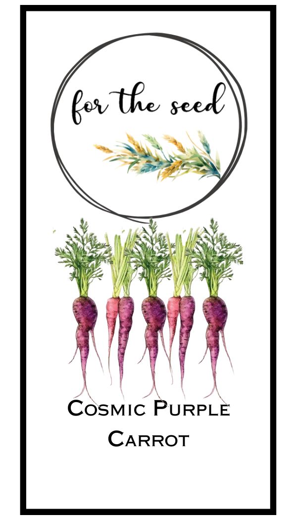 Cosmic Purple Carrots