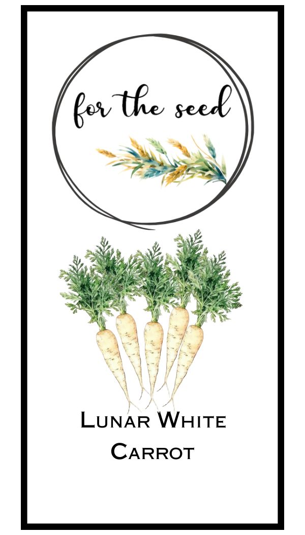 Lunar White Carrots