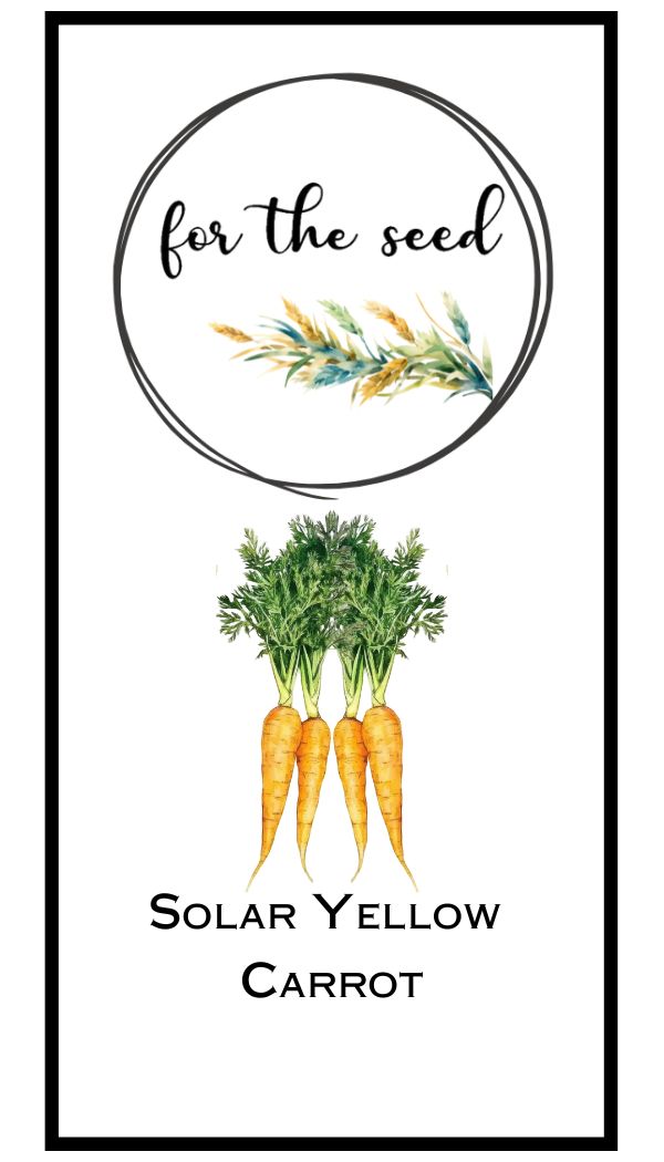 Solar Yellow Carrots