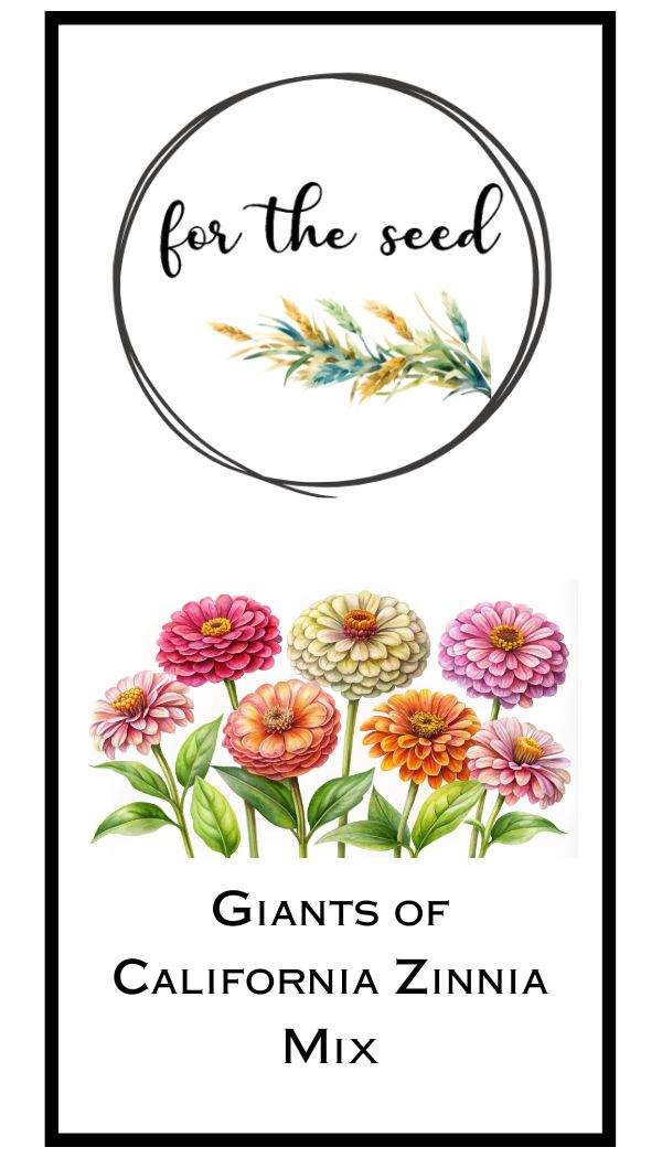 Giants of California Mix Zinnia