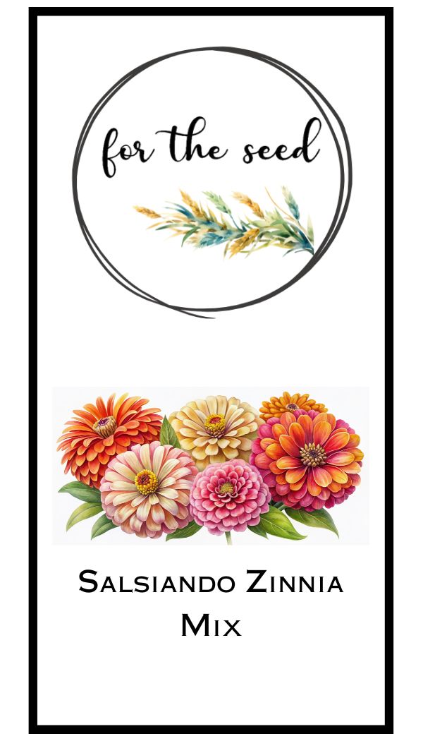 Salsiando Zinnia Mix