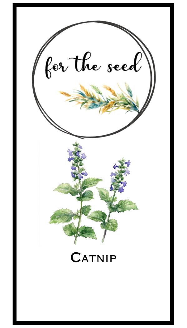 Catnip