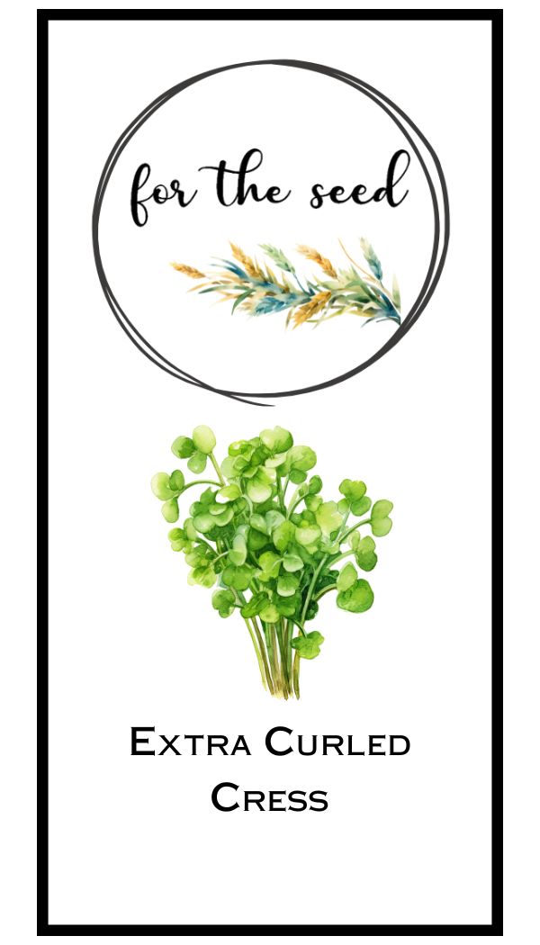 Extra Curled Cress