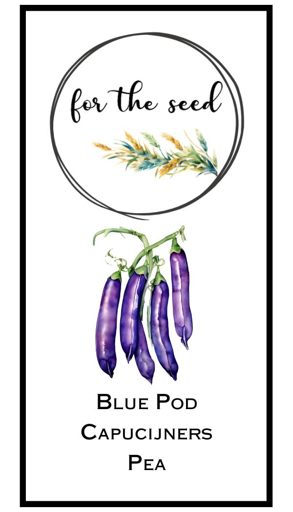 Blue Pod Capucijners Pea