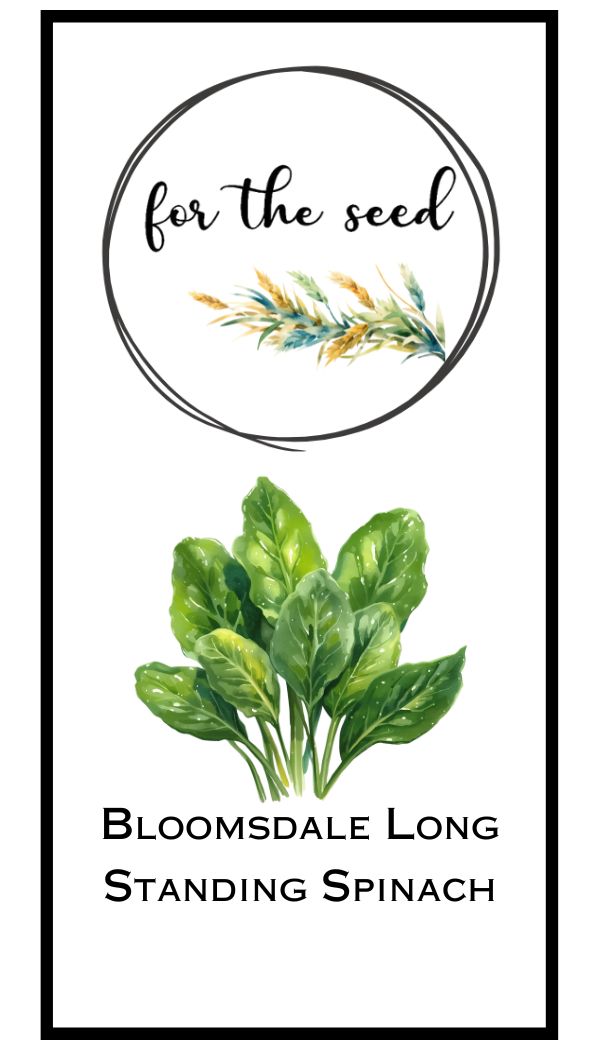 Bloomsdale Long Standing Spinach