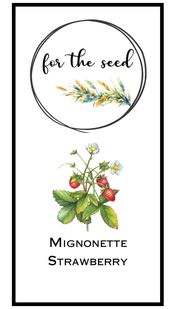 Mignonette Strawberry