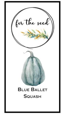 Blue Ballet Winter Squash