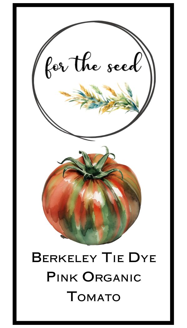 Berkely Tie Dye Pink Organic (Indeterminant)