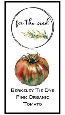Berkely Tie Dye Pink Organic (Indeterminant)
