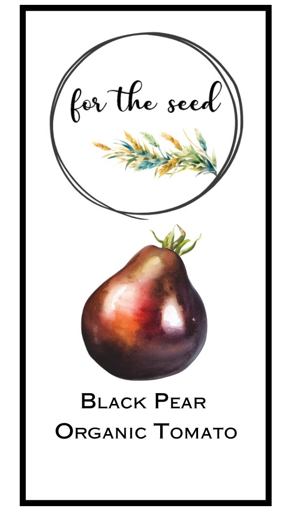 Black Pear Organic Tomatoes (Indeterminate)