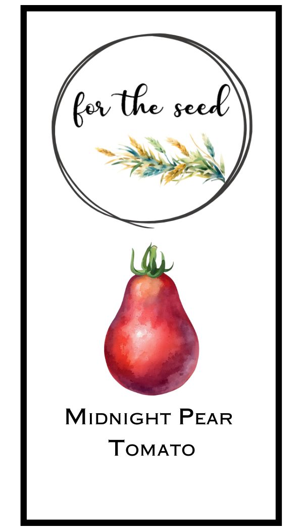 Midnight Pear Tomato (Indeterminant)