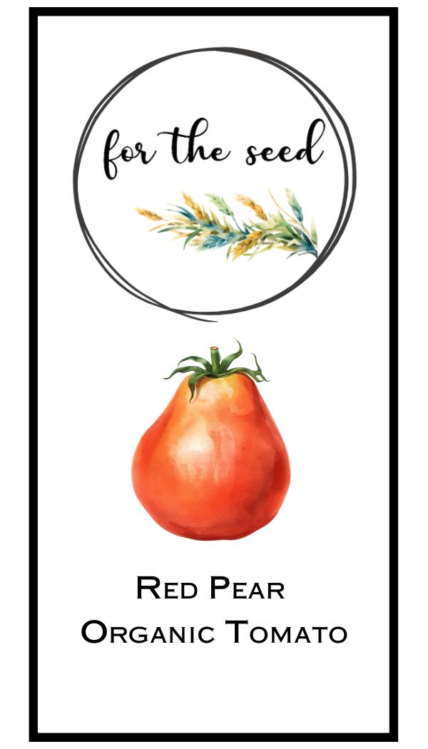 Red Pear Organic Tomato (Indeterminant)