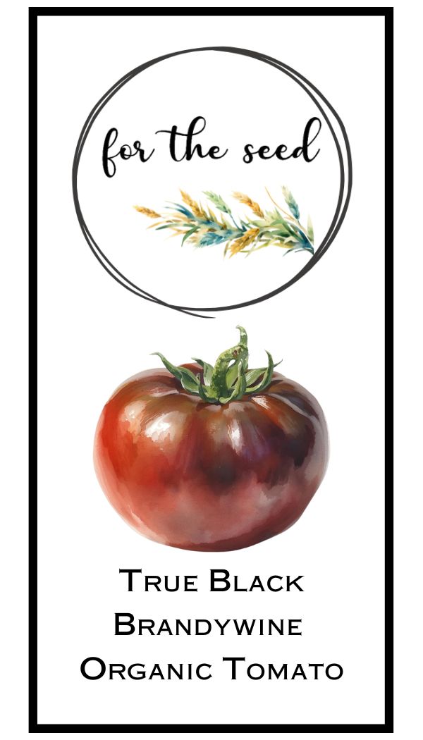 True Black Brandywine Organic Tomato (Indeterminant)