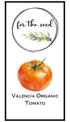 Valencia Organic Tomato (Indeterminant)
