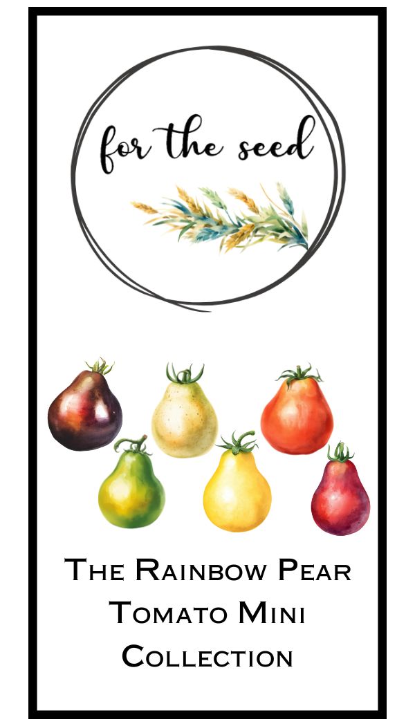 The Rainbow Pear Tomato Mini Collection