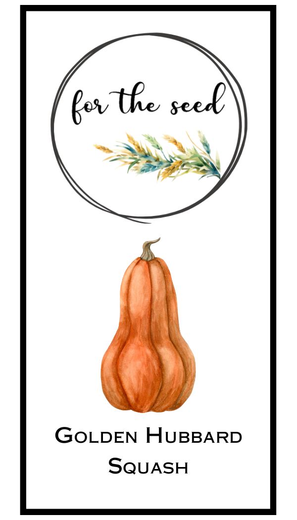 Golden Hubbard Squash