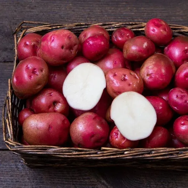 Seed Potatoes