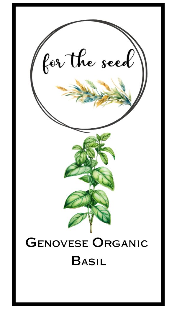 Genovese Organic Basil