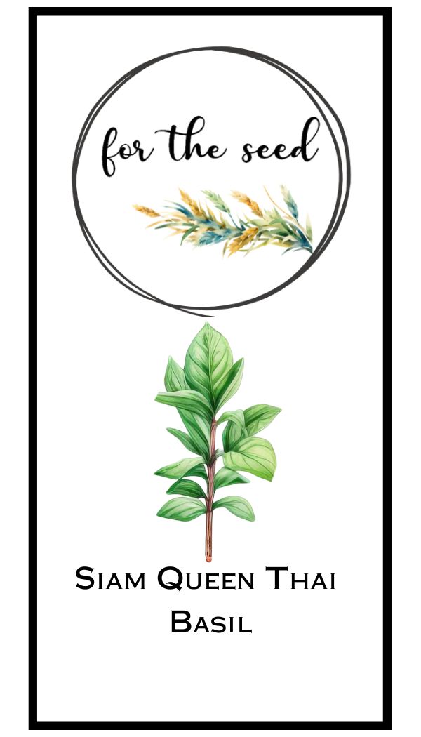 Siam Queen Thai Basil