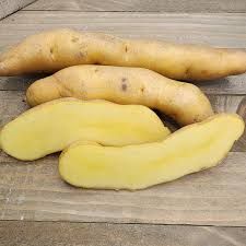 Banana Heritage Organic Seed Potato