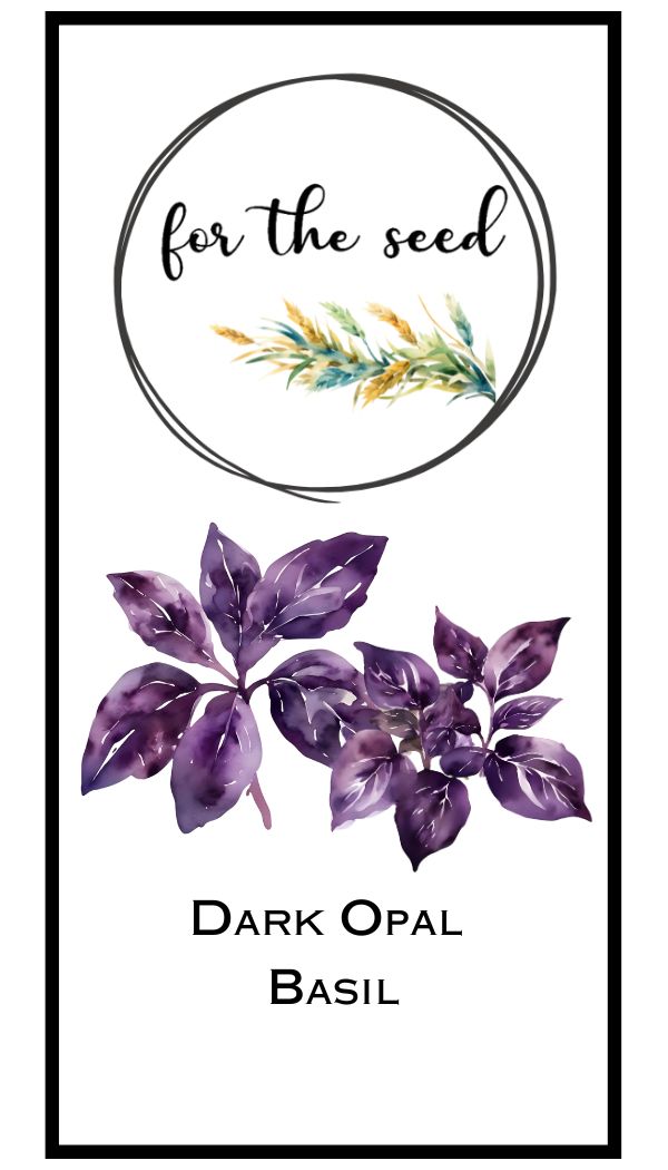 Dark Opal Basil
