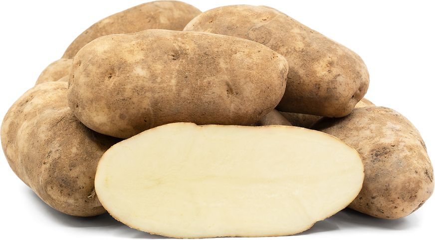 Russet Burbank Heritage Organic Seed Potato