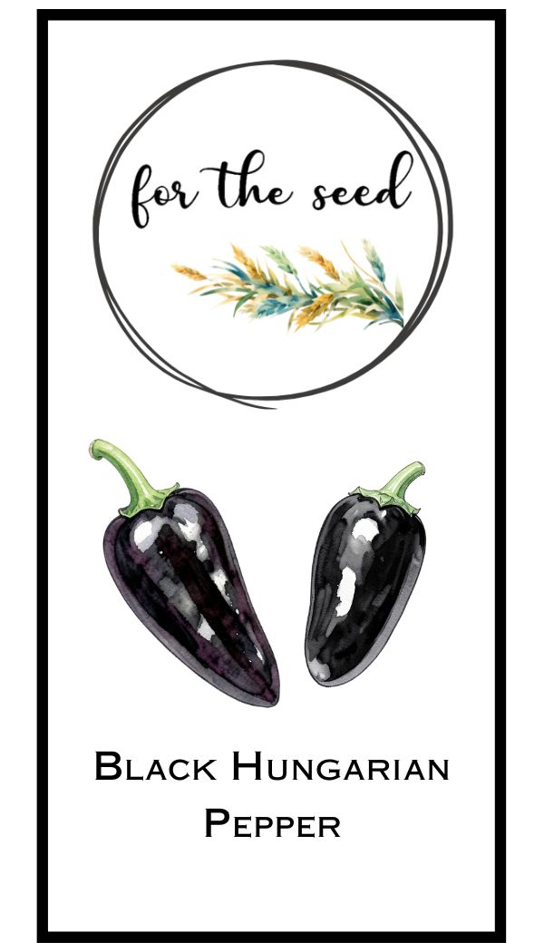 Black Hungarian Pepper